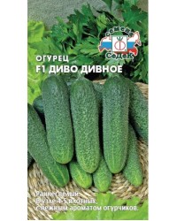 Огурец Диво Дивное 0,2г Ц СеДеК